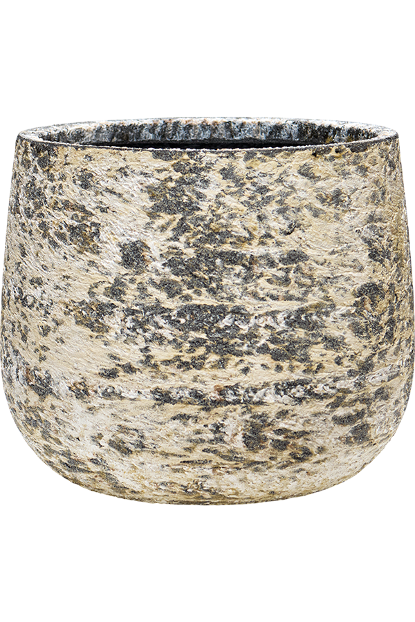 Baq Atlas Darcy White