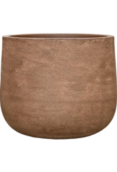 Baq Algar Darcy High Brown