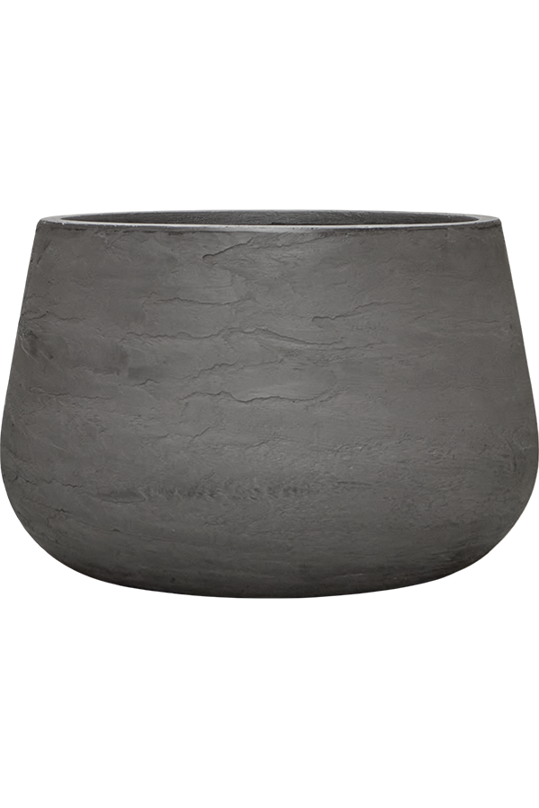 Baq Algar Darcy Grey