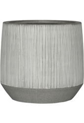 Ridged Harith M, White Stripe