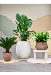 Baq Algar Balloon White