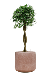 Baq Terrazzo Darcy Mocha