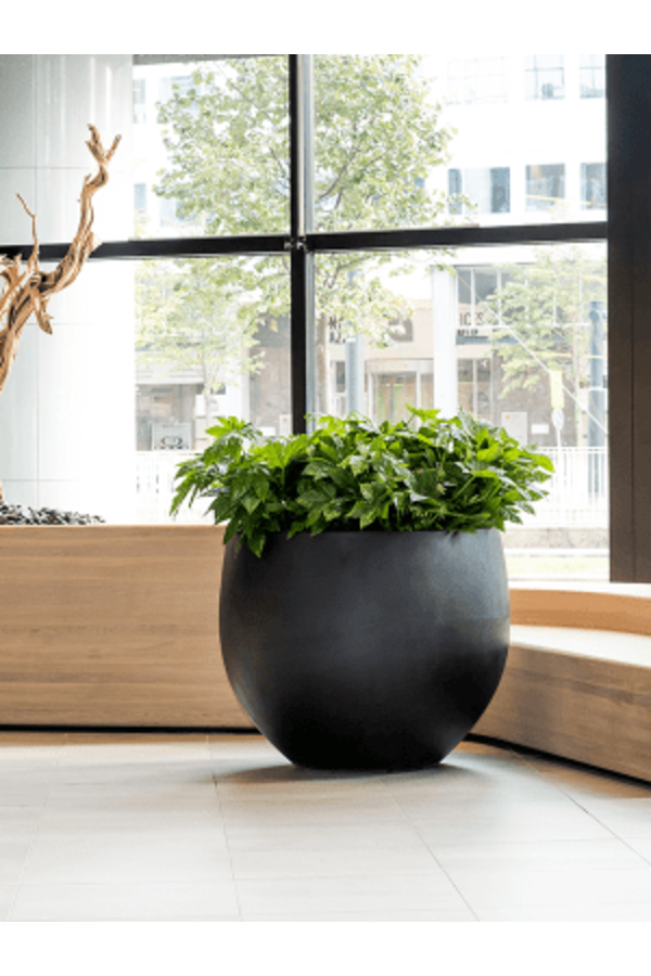 Fiberstone Jumbo Orb L Black