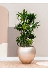 Baq Metallic Silver Leaf Couple matt light champagne (met inzetbak) - sale