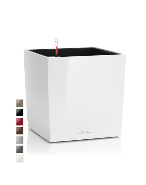 Lechuza Lechuza - Copy