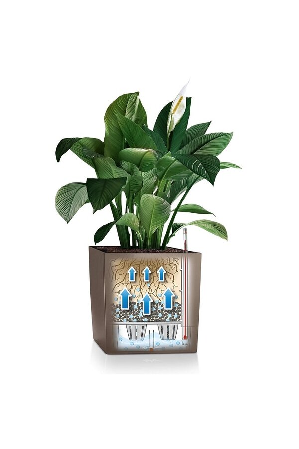 Premium Brick All Inclusive L - Copy