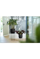 Living Concrete - sale