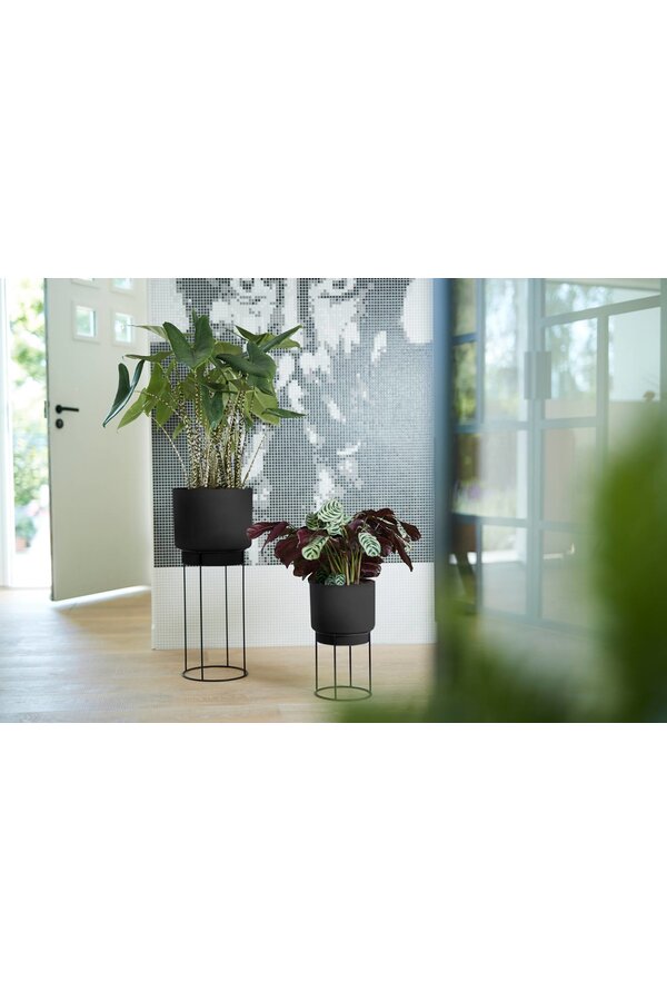 Living Concrete - sale