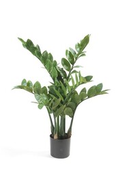 Zamioculcas kunstplant - sale