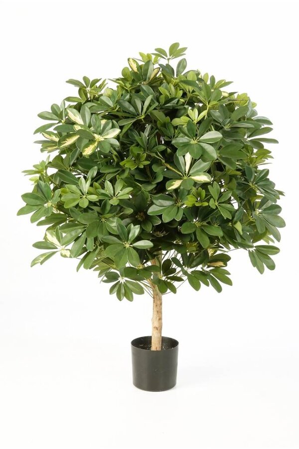 Schefflera bol kunstplant - sale