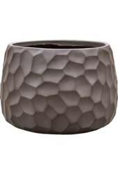 Baq Tortuga Darcy Forest Green