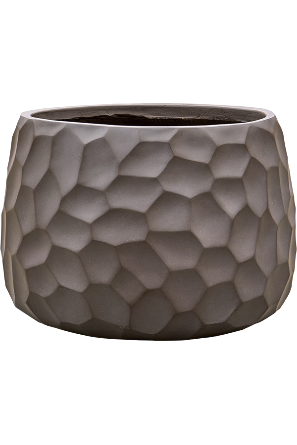 Baq Tortuga Darcy Forest Green