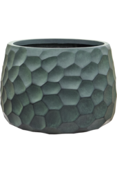 Baq Tortuga Darcy Chocolate Brown