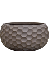 Baq Tortuga Globe Forest Green