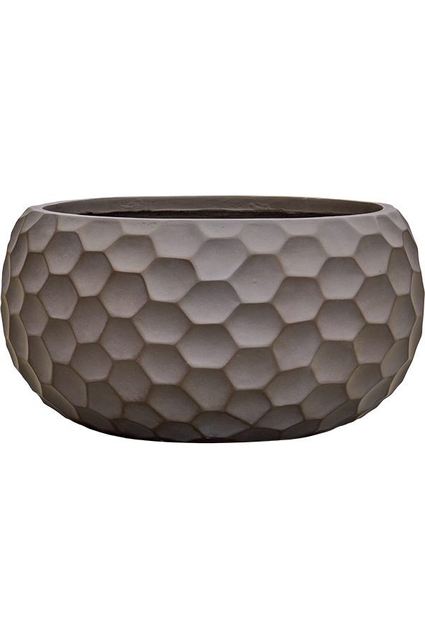 Baq Tortuga Globe Forest Green