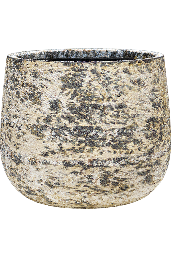 Baq Atlas Darcy Brown