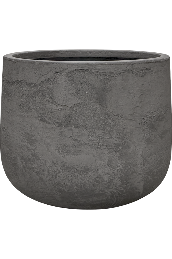 Baq Algar Darcy High White