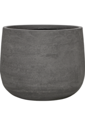 Baq Algar Darcy High White