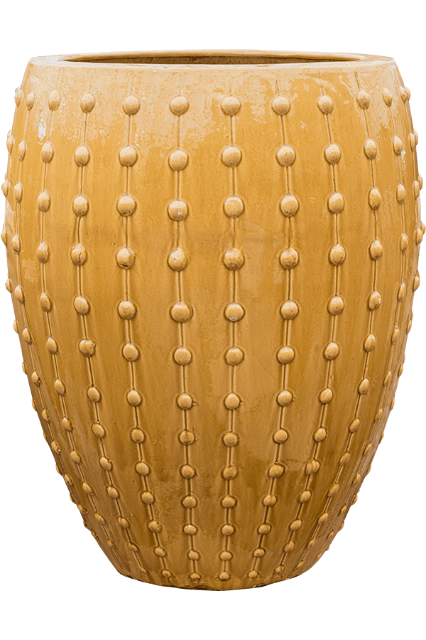 Laos Emperor Gold