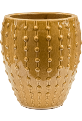 Laos Mini Emperor Cream