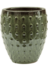 Laos Mini Emperor Black