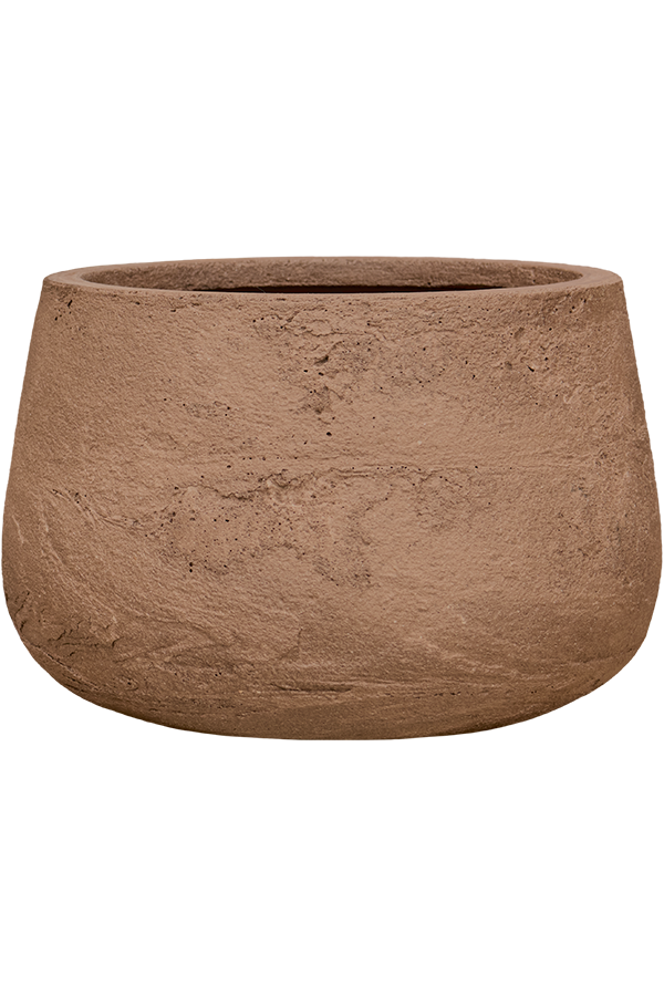 Baq Algar Darcy White