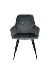 Harbo Eetkamerstoel - Fluweel, Staal, Groen - Set van 2