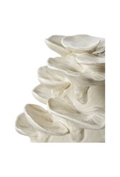 Decoratie
