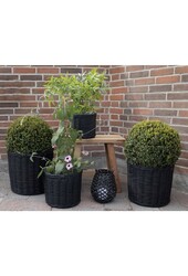 Bogor Manden - Zwart, Kubu Rotan/Plastic - Set van 4