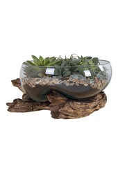 San Marino Waterdrop - Teakhout, Glas, Staal, Natuurlijk - 26x26x20 cm