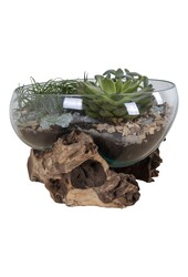San Marino Waterdrop - Teakhout, Glas, Staal, Natuurlijk - 26x26x20 cm