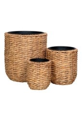 Hanoi Plantenbakken - Waterhyacint, natuurlijk - Set van 3