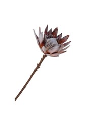 King Protea Boeket - Kunstbloemen, rozenmix, 74 cm