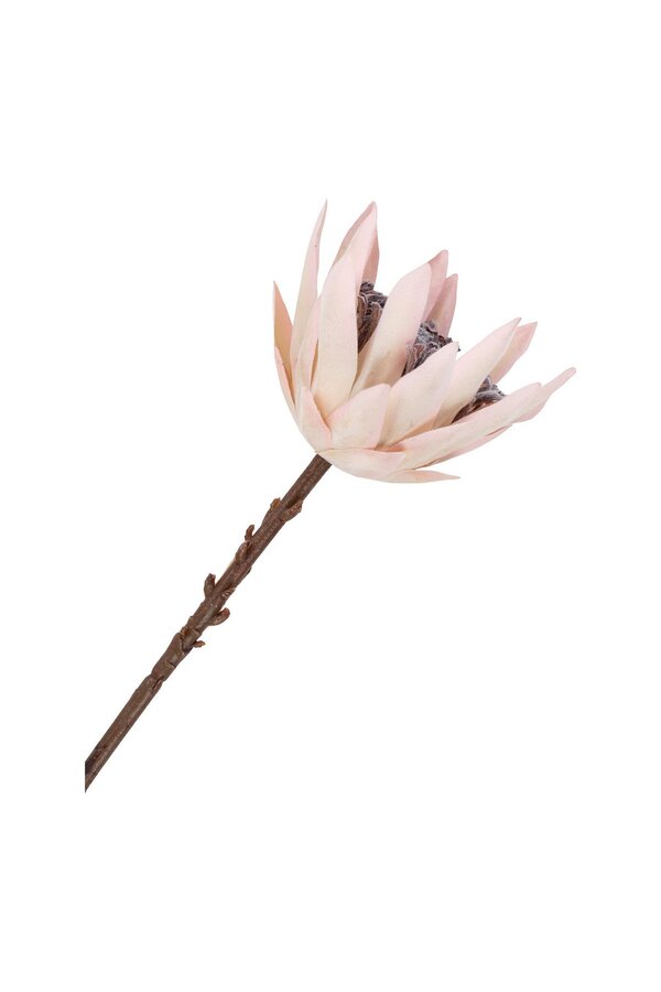 King Protea Boeket - Kunstbloemen, bordeaux mix, 65 cm