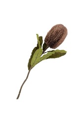 King Protea Boeket - Kunstbloemen, bordeaux mix, 65 cm