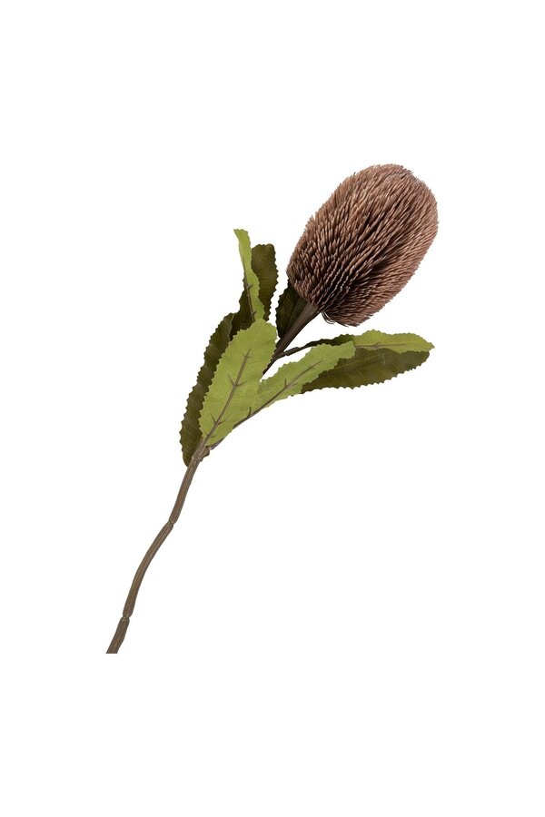 King Protea Boeket - Kunstbloemen, bordeaux mix, 65 cm