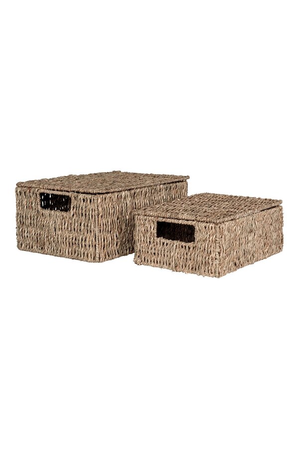 Venoso Manden - Naturel, Zeegras - Set van 2