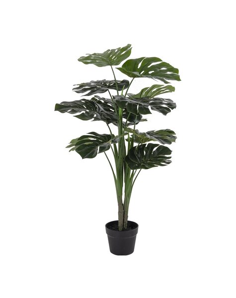 Monstera - Groen, PE-kunststof/polyester/draad/cement, 17x18x90 cm