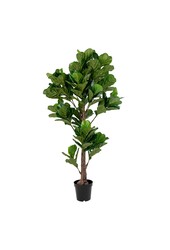 Fiddle Leaf Tree - Groen, PE kunststof/polyester, 81x93x190 cm