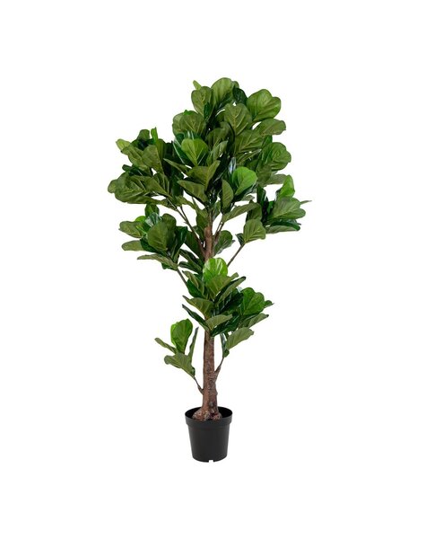 Fiddle Leaf Tree - Groen, PE kunststof/polyester, 81x93x190 cm