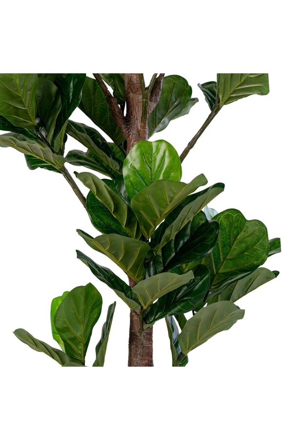 Fiddle Leaf Tree - Groen, PE kunststof/polyester, 81x93x190 cm