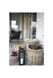 Caor Manden - Natuurlijk, Kubu Rotan, set van 4