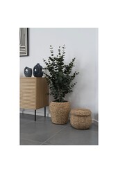 Denia Mand - Naturel, Waterhyacint, Ø34,5x34,5cm