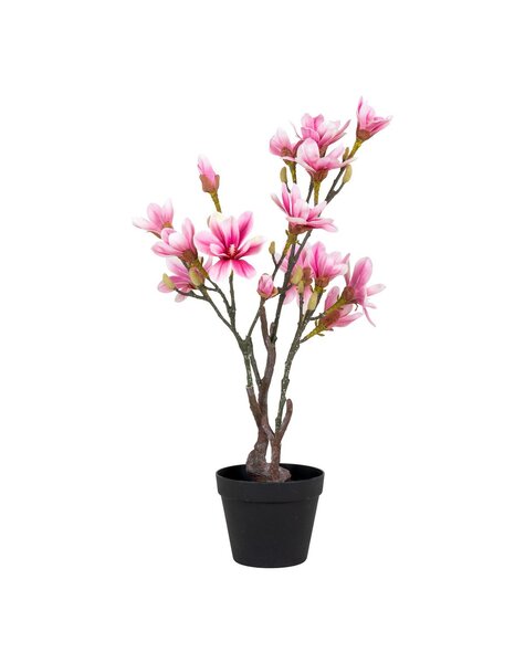 Magnoliaboom - Groen/Rosa, PE-kunststof, H:74 cm