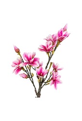 Magnoliaboom - Groen/Rosa, PE-kunststof, H:74 cm