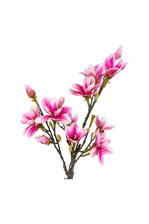Magnoliaboom - Groen/Rosa, PE-kunststof, H:74 cm