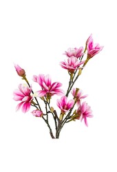 Magnoliaboom - Groen/Rosa, PE-kunststof, H:74 cm
