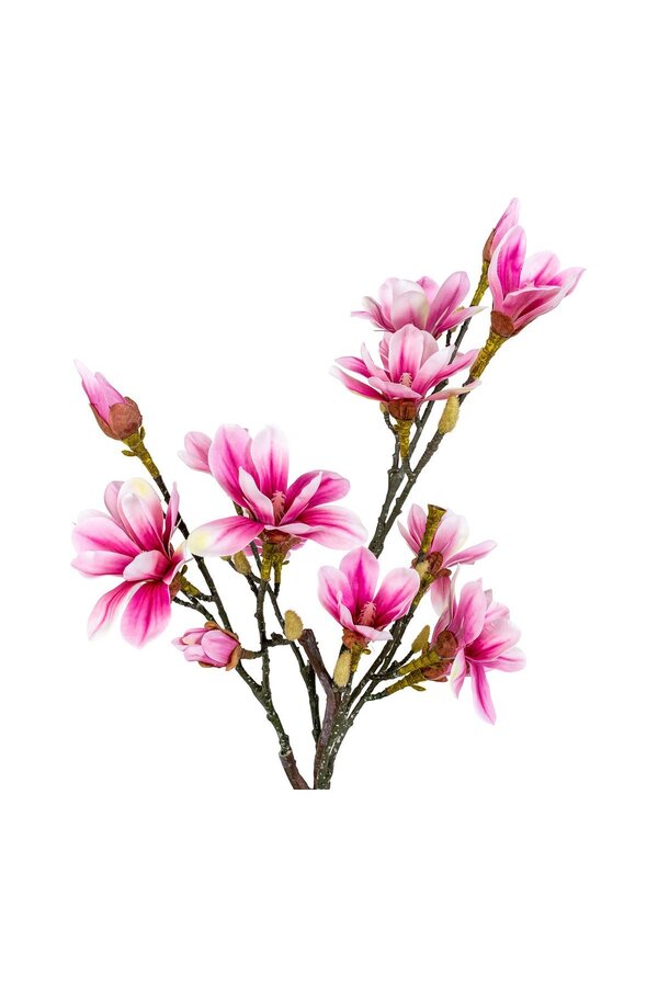 Magnoliaboom - Groen/Rosa, PE-kunststof, H:74 cm
