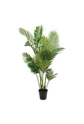 Areca Palm - Groen, PE Kunststof/Polyester, 64x64x175 cm