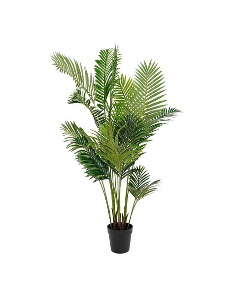 Areca Palm - Groen, PE Kunststof/Polyester, 64x64x175 cm